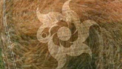 Crop Circle imagenes of mystery