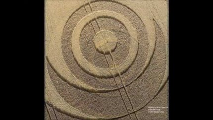 CROP CIRCLE ☼ Ironwell Lane, nr Stroud Green, Essex UK – Reported 8/24/14