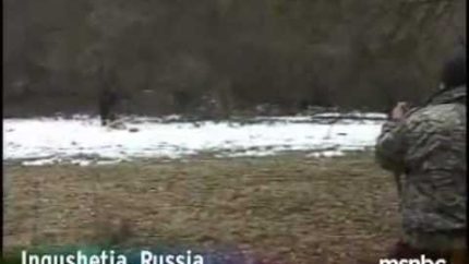 Russian Yeti mystery solved.