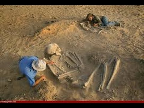 The Mystery of Giant Humans of our Earth Past !