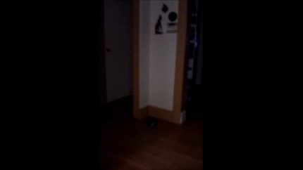 Great Footage Of Orbs On Video!