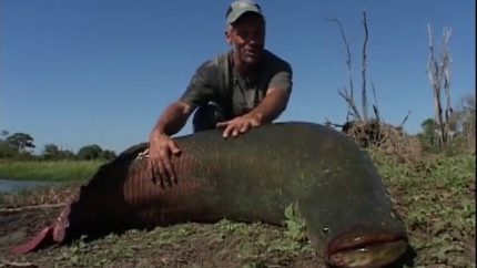 River Monsters S03 Special – The Lost Reels Amazonian Giant