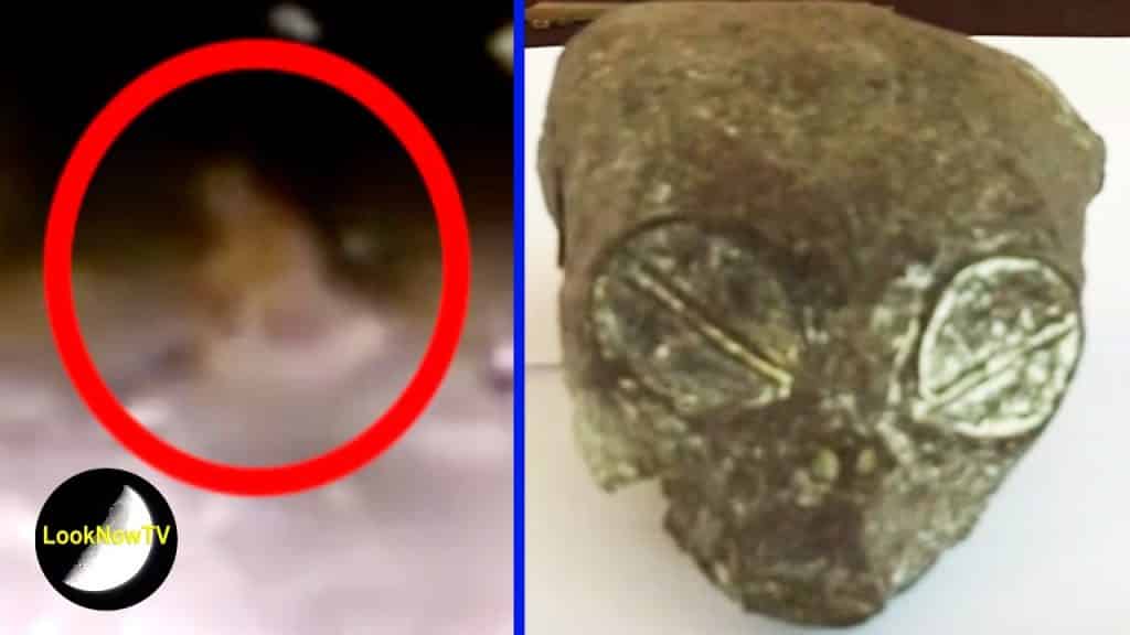 ALIEN Mummified Skull Creature! BIGFOOT & UFOs Caught On Camera!