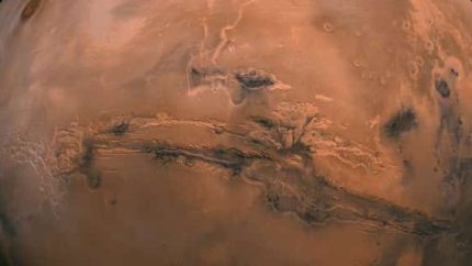 NASA Video Shows Martian Crab Eating A Bug