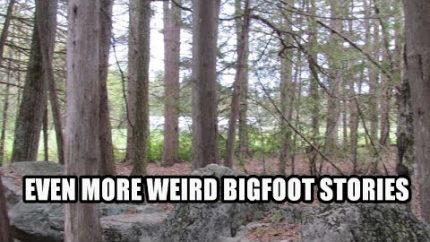 Even More Weird Bigfoot Stories