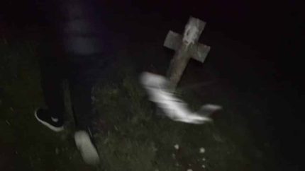 Mysterious Blood Sucking Creatures Attacks Teen In A Graveyard