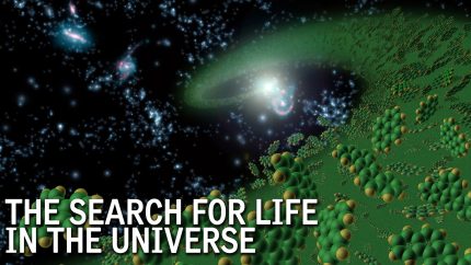 The Search for Life in the Universe