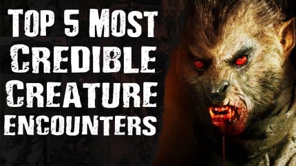 Top 5 Most CREDIBLE CREATURE ENCOUNTERS