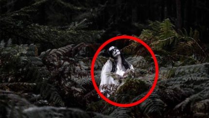Cryptozoology Ghost Accidentally Caught On Camera From a Forest Scary videos 2017