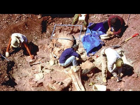 Cemetery Of ‘Giants’ Found In Central Africa
