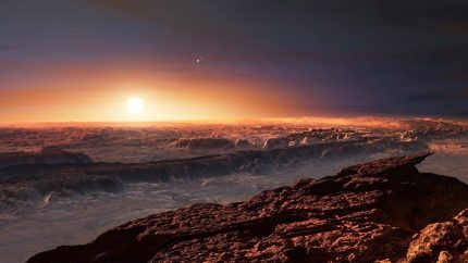 New Telescopes to Study Earth-like Planets Around Red Dwarf Stars