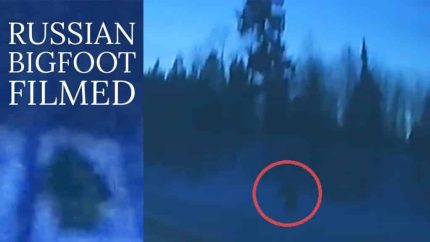 STRANGE BIGFOOT CREATURE Caught on Camera | Russian Sasquatch Footage | MBM 74