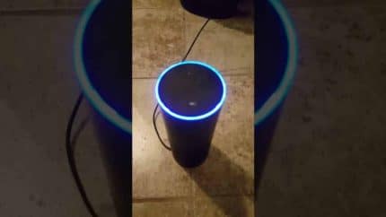 CIA is always listening (Amazon Alexa)