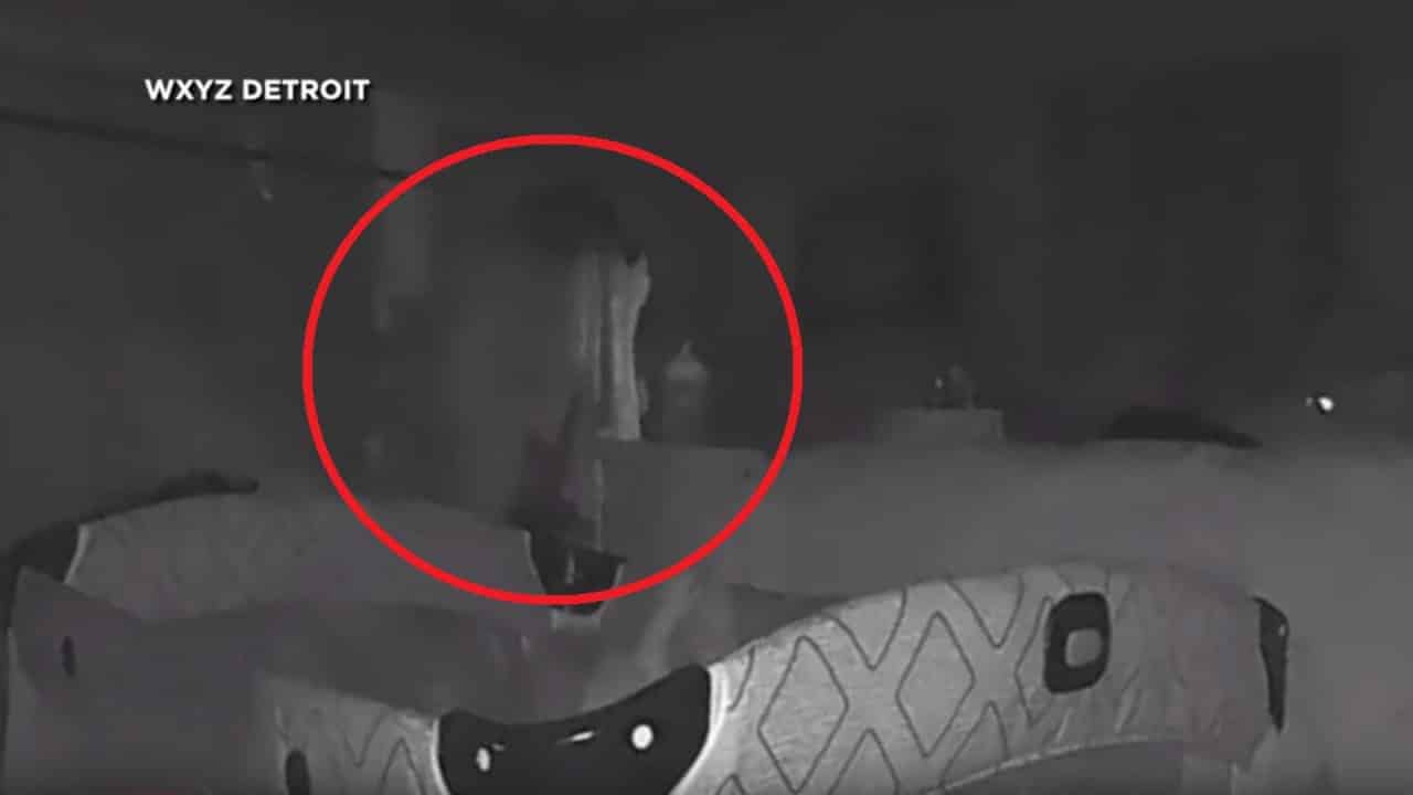 Ghost Caught on Nanny Cam? See the Creepy Video, Plus More of This Week's Crazy Stories