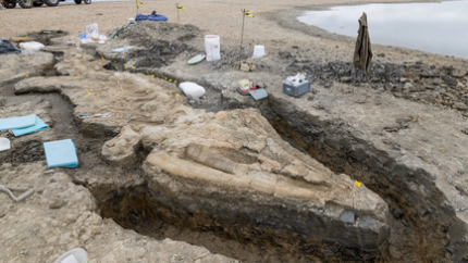 Ichthyosaur: The Giant Fossilized ‘Sea Dragon’ Of Rutland Reservoir