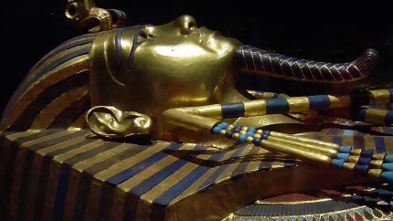 The Mysterious Curse of the Egyptian Mummy